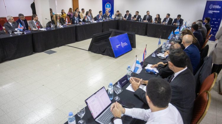 San Luis participó de una nueva Asamblea Federal del Consejo de Seguridad Vial