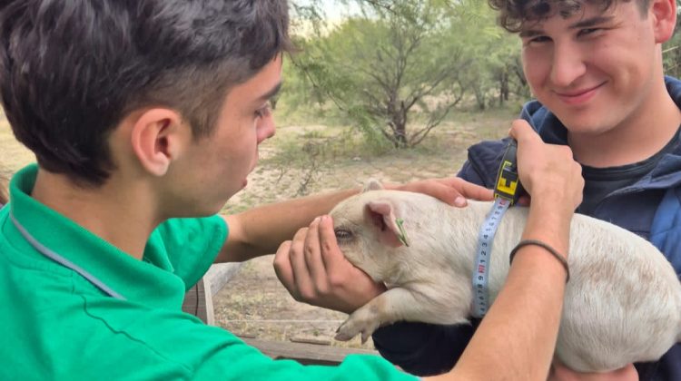 Estudiantes combinaron ciencia con IA para investigar el bienestar animal