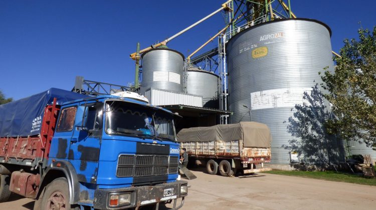 AgroZAL superó las 50 mil toneladas de maíz almacenadas en una semana