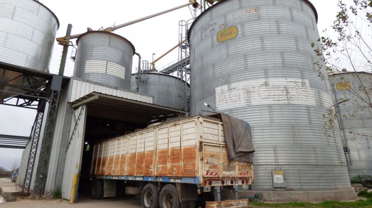 La infraestructura logística local acompañó nuevas operaciones de exportación e importación