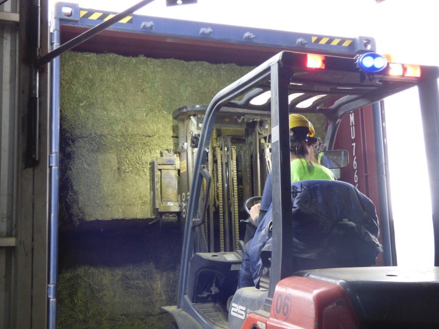 AgroZAL super&oacute; las 20.000 toneladas movilizadas en junio y consolid&oacute; su rol en la log&iacute;stica de exportaci&oacute;n