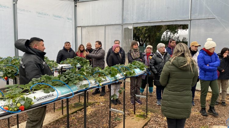 El Vivero Sol Puntano realizó una capacitación práctica sobre producción hidropónica de hortalizas