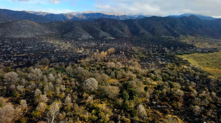 El Gobierno trabaja en la contención del incendio forestal