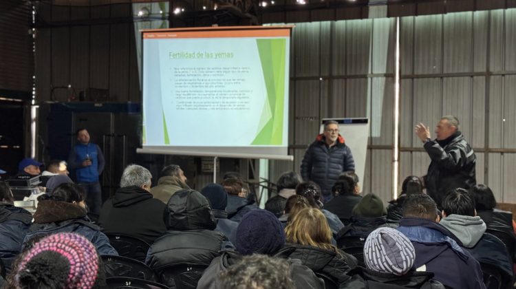Sol Puntano dictó una capacitación sobre la poda de vides