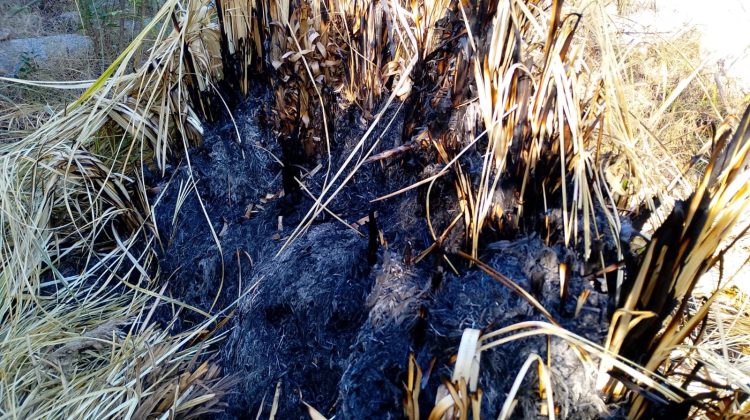 Controlaron un principio de incendio en la Reserva Natural Las Higueritas