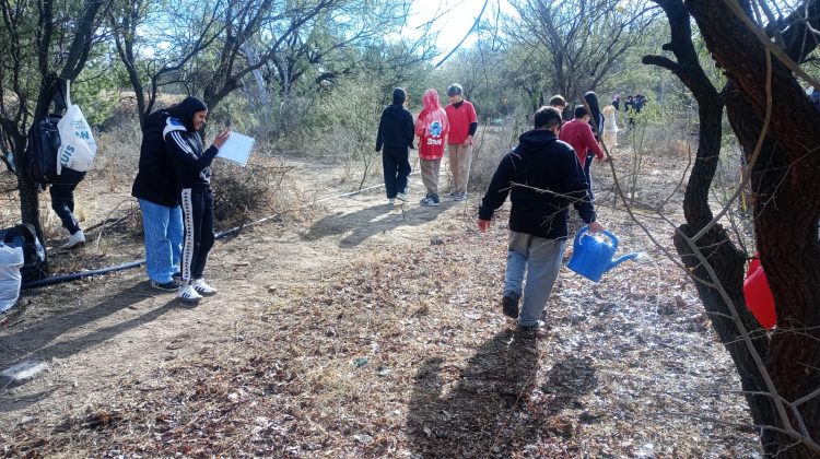 Estudiantes desarrollan un bosque sintrópico para recuperar el suelo y producir alimentos