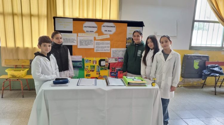 La Escuela N°191 de Buena Esperanza presentará dos proyectos en la instancia provincial