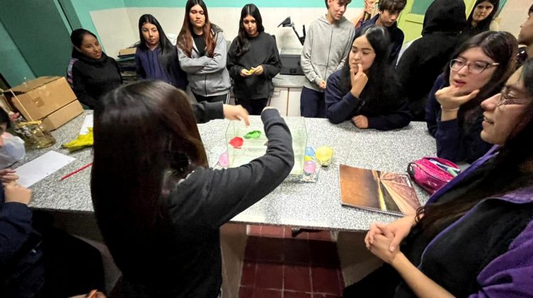 Dos investigaciones del Colegio Nº24 buscan aportar soluciones a desafíos ambientales