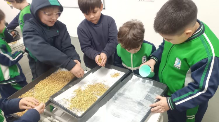 Con agua y creatividad, alumnos descubren una forma sustentable de producir alimentos