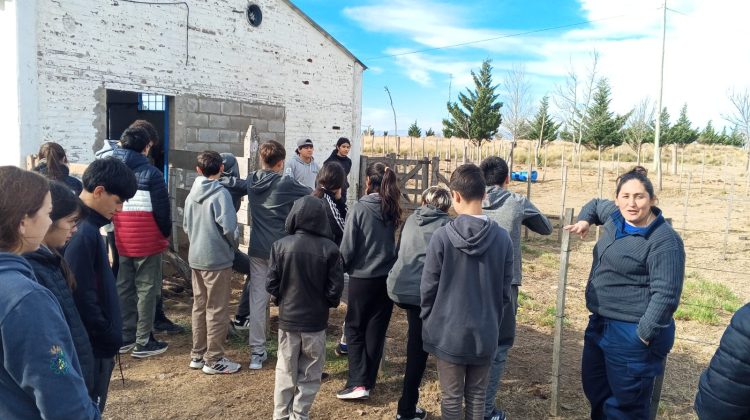 Dos proyectos de la Técnica Nº1 avanzaron a la instancia provincial