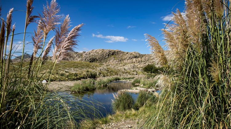 La mitad de la semana llega con un día primaveral para disfrutar al sol