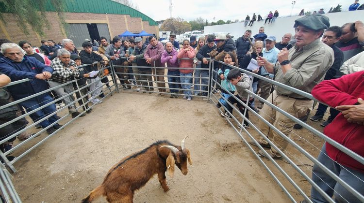 Criadores accedieron a reproductores para mejoramiento genético durante la última Mesa Sectorial
