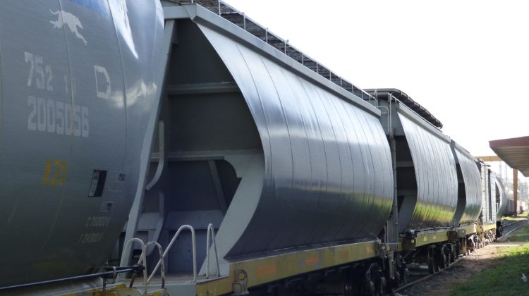 San Luis inició agosto con nuevas operaciones de exportación desde sus nodos logísticos