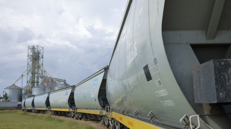 Los nodos logísticos de San Luis registraron nuevos movimientos comerciales