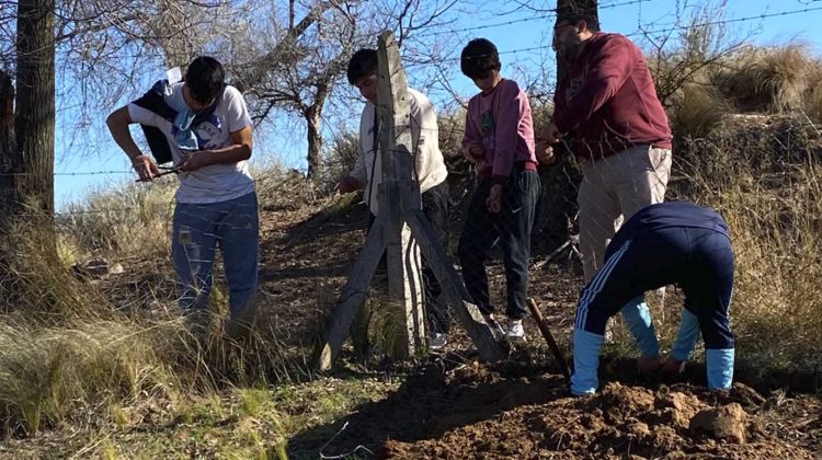 Estudiantes de dos escuelas rurales de San Luis criarán lombrices para comercializar