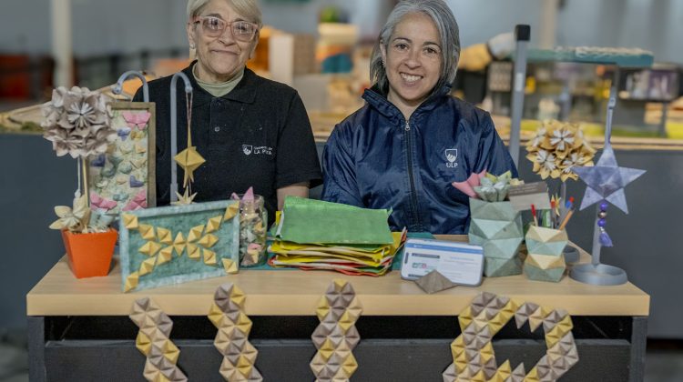Descubrí el arte de doblar papel con la ULP
