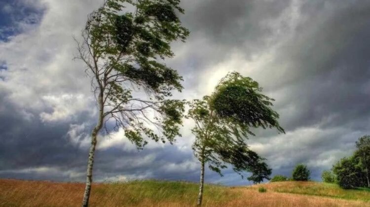 Viento Chorrillero: cuando San Luis sopla memoria, identidad y cultura