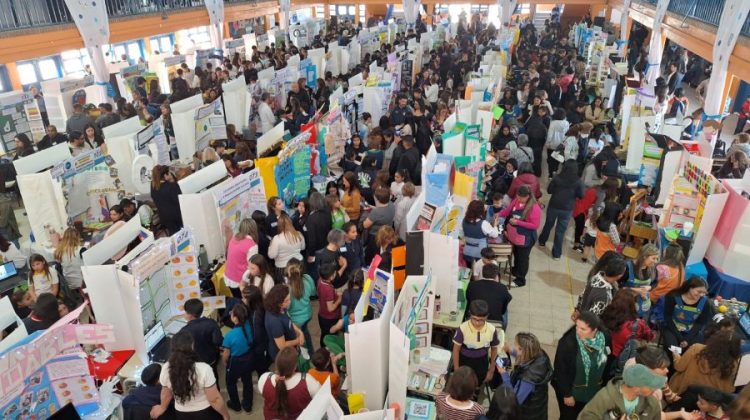 Dieron a conocer los 20 proyectos que avanzaron a la instancia nacional de la Feria de Ciencias