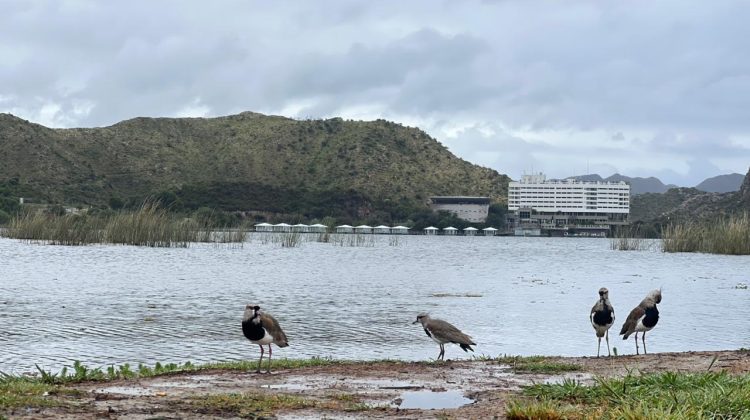 Anuncian un miércoles gris con probabilidad de lloviznas