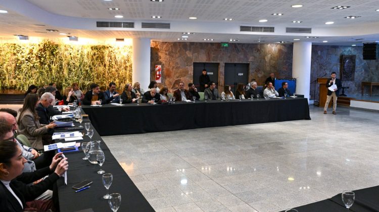 El Gobierno anunció un programa de capacitación en IA para empleados públicos