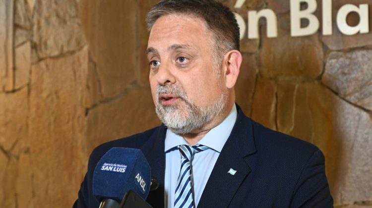 Ricardo Endeiza: “Es pasar de un régimen personalista a un sistema de instituciones más fuertes”