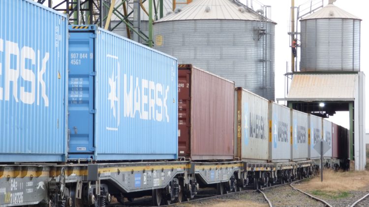 Más de 3.300 toneladas de producción se movilizaron por tren durante la segunda semana de agosto