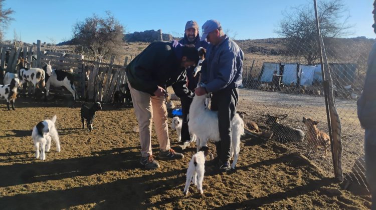 Brindaron asistencia sanitaria en establecimientos del departamento Chacabuco y San Martín
