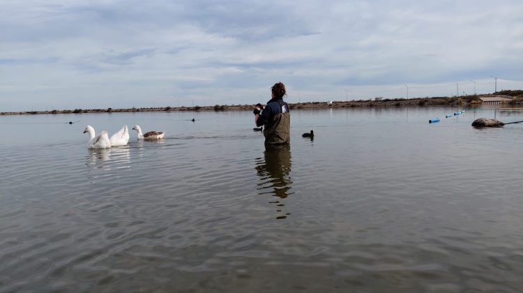 San Luis Agua fiscalizó el agua cruda de la Costa de los Comechingones