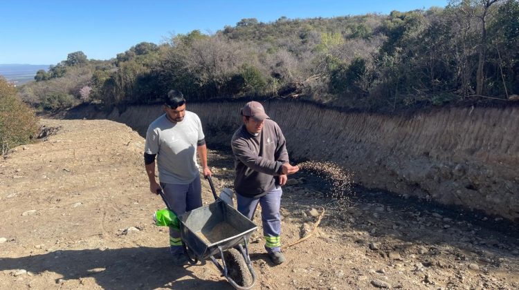 Plantaron semillas de centeno en ambas márgenes del arroyo Damiana Vega