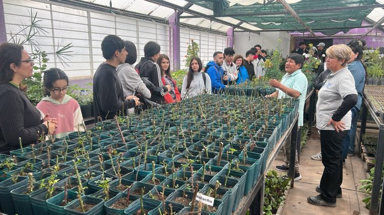 La Granja ‘Cruz de Piedra’ realizó una jornada productiva con tres escuelas de la ciudad de San Luis