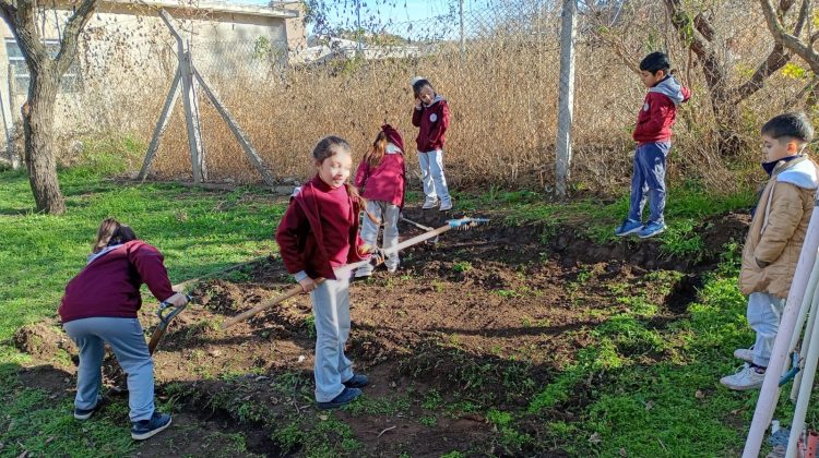 El Centro Educativo N°6 ‘Cabo Principal Fabricio Alcaraz’ reactivó su huerta escolar