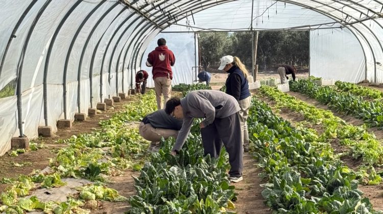 En ‘La Agraria’, los estudiantes llevan sus conocimientos al campo productivo