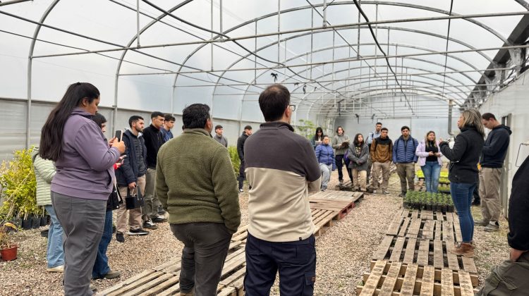 Alumnos de Ingeniería Agronómica recorrieron los módulos productivos de Sol Puntano