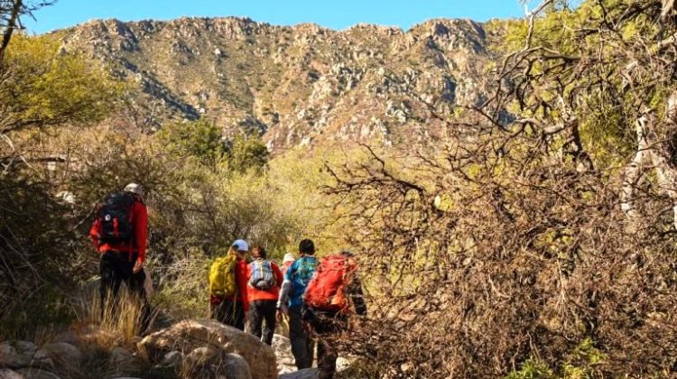 Sierras Doradas: el camino hacia la magia del norte de San Luis