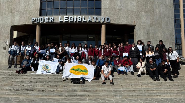 Estudiantes del departamento Pringles fueron ‘Diputados por un Día’