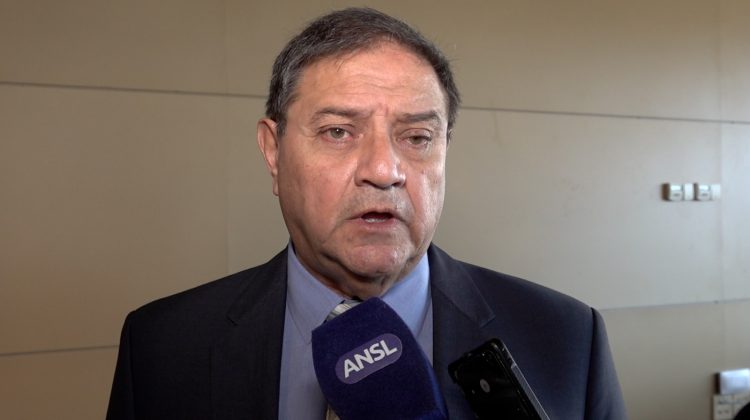 “Sin duda, San Luis es industrialmente muy poderosa, con uno de los PBI más altos”