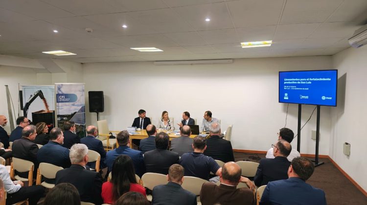 CEPAL presentó los ‘Lineamientos para el futuro productivo de la provincia de San Luis’