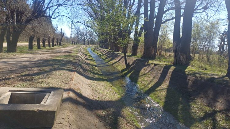Intensifican la limpieza en los canales de riego de Villa Mercedes 