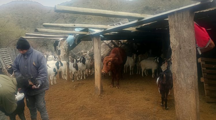 Refuerzan la asistencia sanitaria a productores rurales en distintos puntos de la provincia