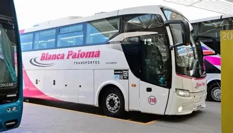 Restablecen un servicio entre San Luis y Quines