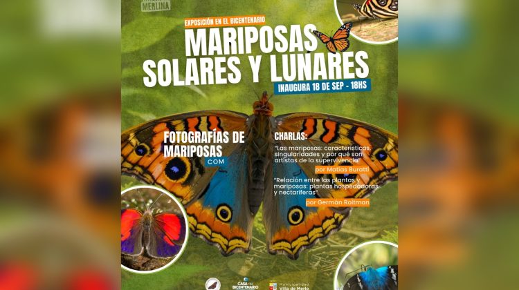 Abrirá una muestra en la Villa de Merlo para descubrir el fascinante mundo de las mariposas