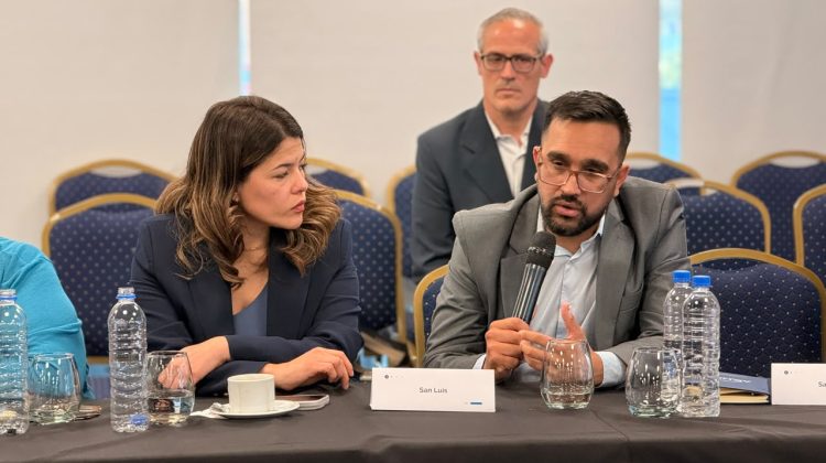 San Luis impulsa una agenda federal para potenciar la cultura como motor de desarrollo