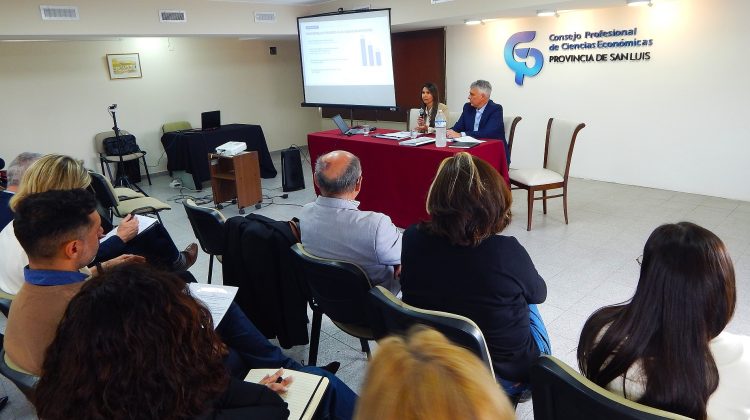 La ministra Sosa Herrera presentó el RIPEE en el Consejo Profesional de Ciencias Económicas