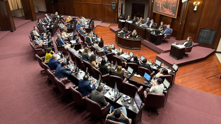 Diputados dio media sanción a la adecuación del Régimen Procesal Penal Juvenil
