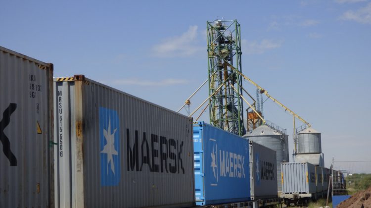Nodos logísticos provinciales movilizaron cargas destinadas a mercados nacionales e internacionales