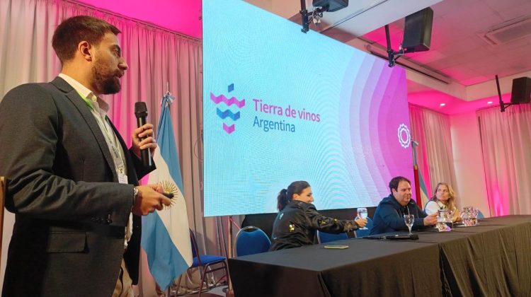 San Luis conquista nuevos escenarios para sus vinos y presenta la ruta ‘Sabores en Copa’ en Paraná