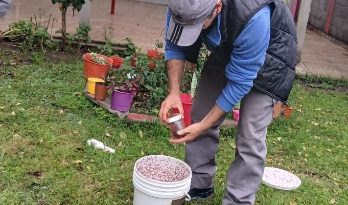 Continúan los operativos para erradicar la mosca de los frutos en Luján