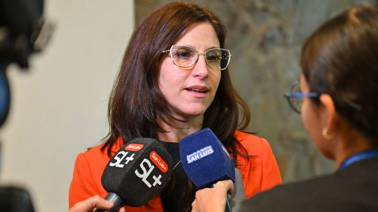 “El mayor desafío consistirá en el trabajo de los operadores en los nuevos procesos penales”
