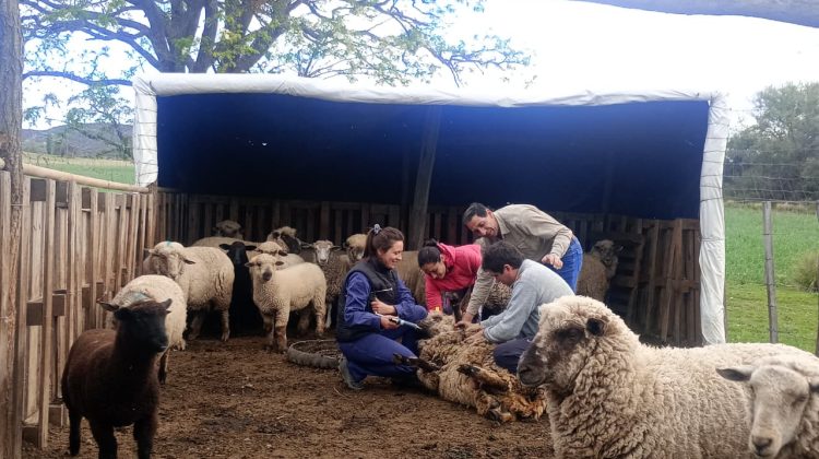 Fortalecen la asistencia sanitaria en los departamentos Ayacucho y Chacabuco