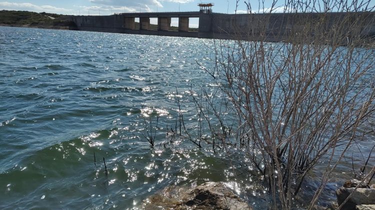 El personal de San Luis Agua fiscalizó el agua cruda del dique Saladillo